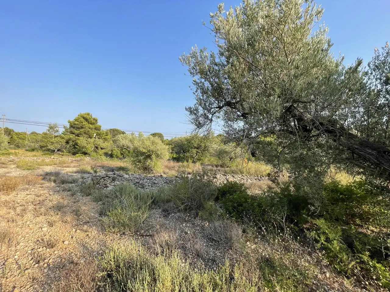 Terreno rustico in vendita a Partida Estany Tort, imagen 14