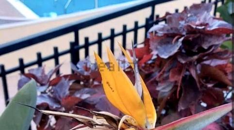 Photo 3 of Duplex for sale in Maritima, Las Caletillas - Punta Larga, Candelaria