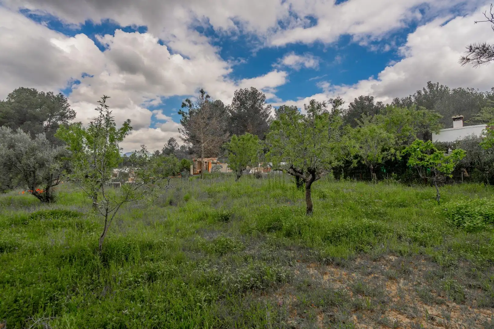Country homes for sale in Jérica