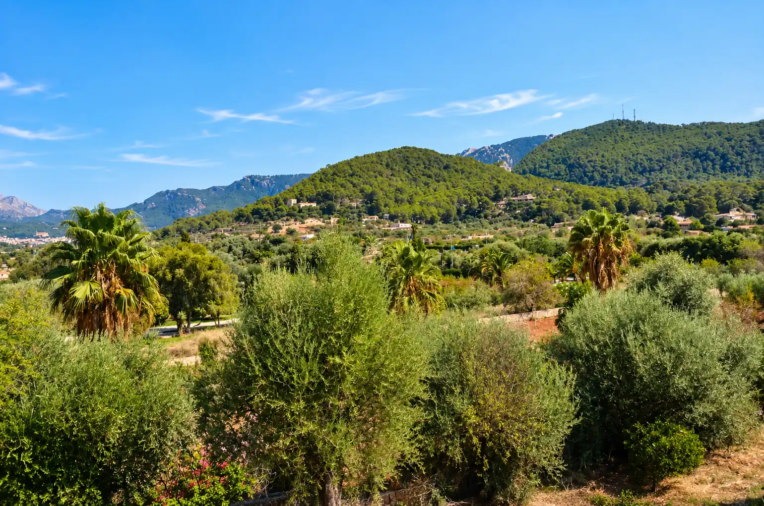 Country house with pool to rent in Port d'Andratx, imagen 7