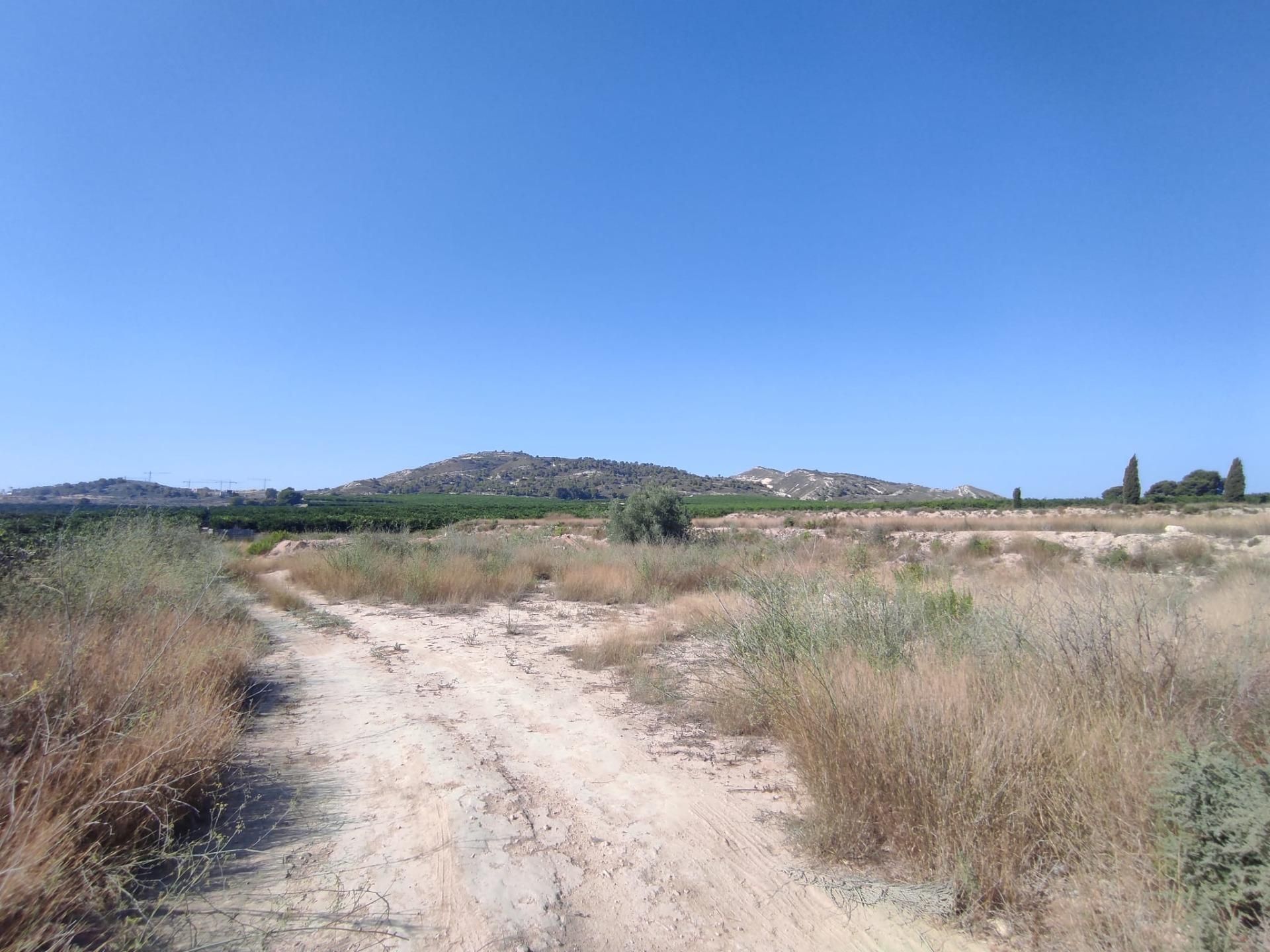 Residential for sale in Algorfa