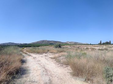 Terreny rústic en venda a Algorfa
