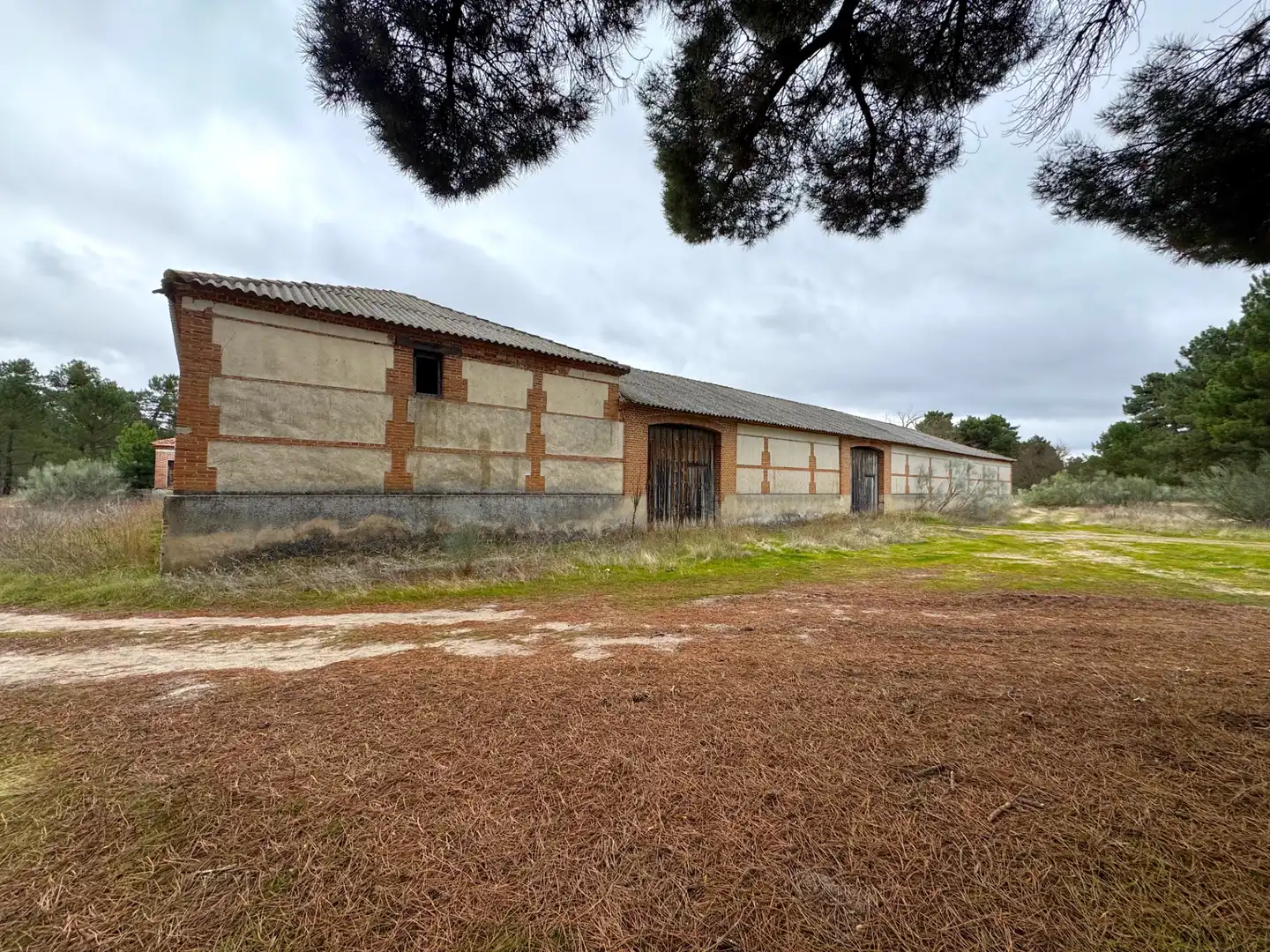 Vista exterior de Terreno en venta en Coca