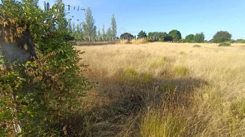 Photo 5 of House or chalet for sale in Huelmos S Joaquin, Valdunciel, Salamanca