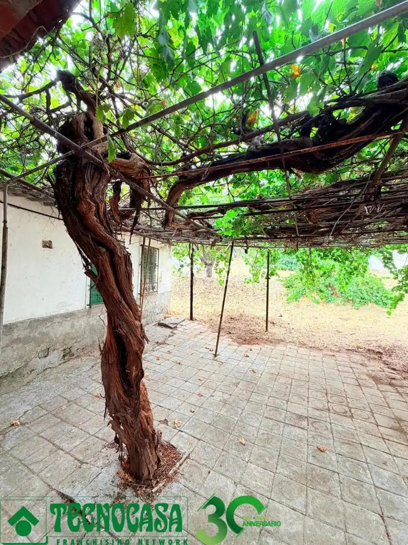 Terrace of Houses for sale in Albarreal de Tajo