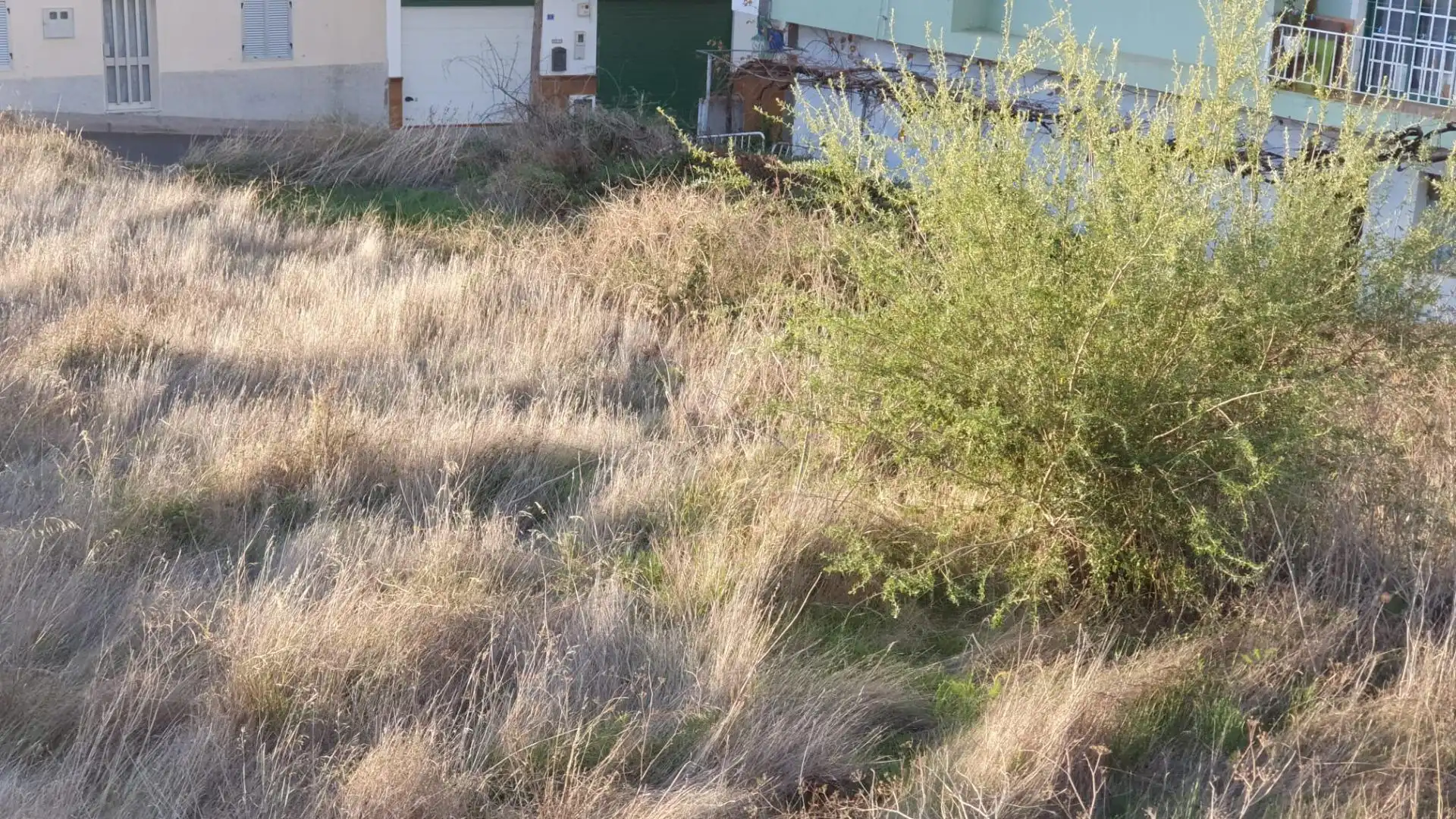 Terrenos y solares en venta en Vilaflor de Chasna, imagen 21