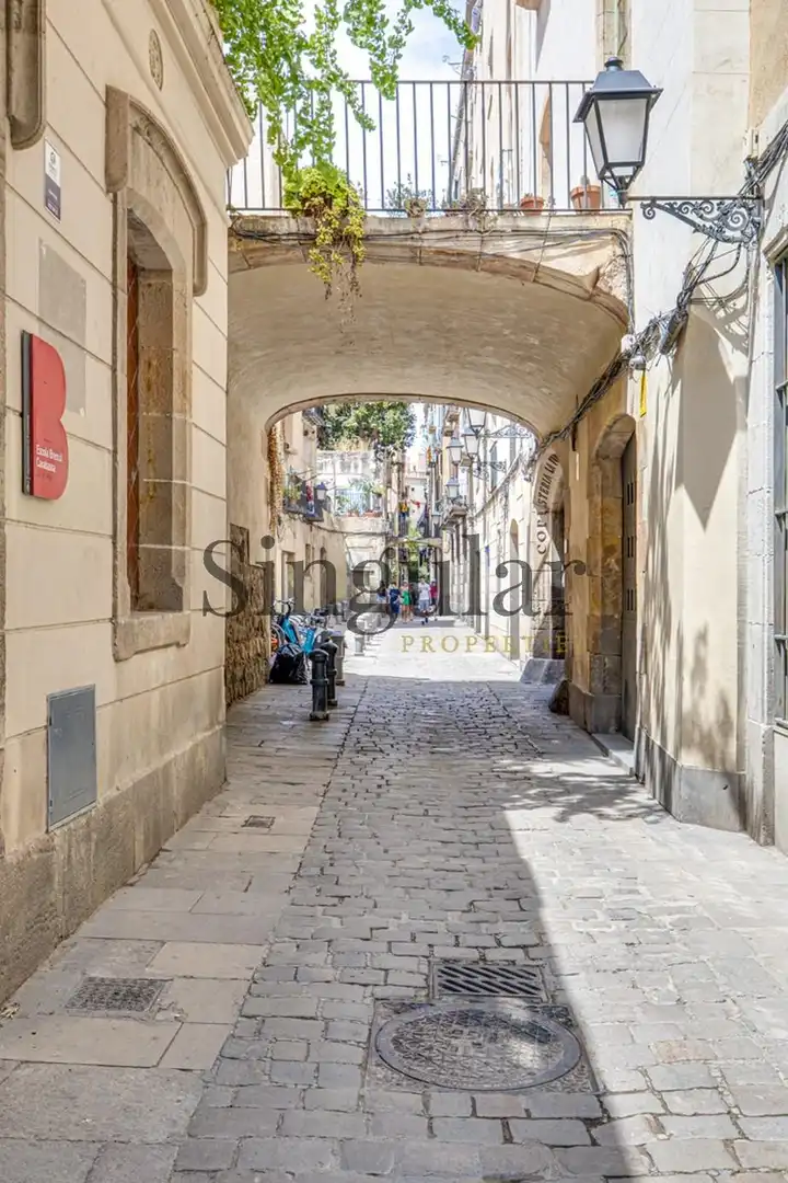Dúplex con ascensor en venta en Ciutat Vella, imagen 51