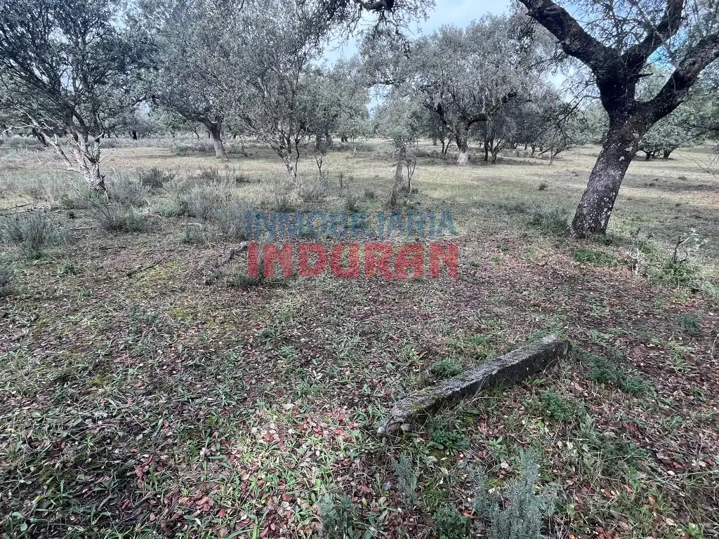 Finca rústica en venta en Calle Corchito, Majadas