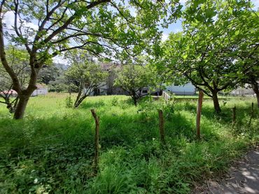 Terrenys i solars en venda a Lendagua