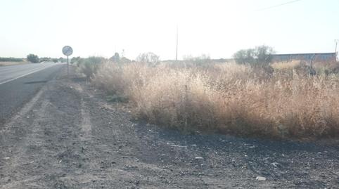 Foto 4 von Fabrik Grundstücke zum Verkauf in Carrión de Calatrava, Ciudad Real