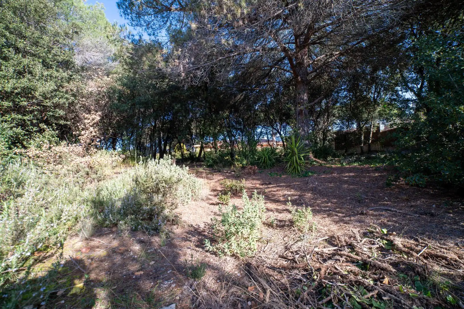 Terreny residencial en venda a Joaquima Mas, imagen 7