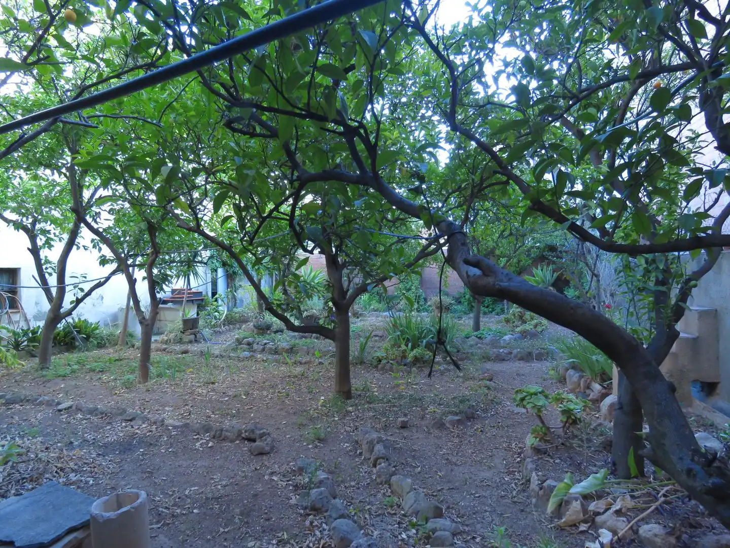 Garden of Houses for sale in Alcover  with Heating, Private garden and Terrace