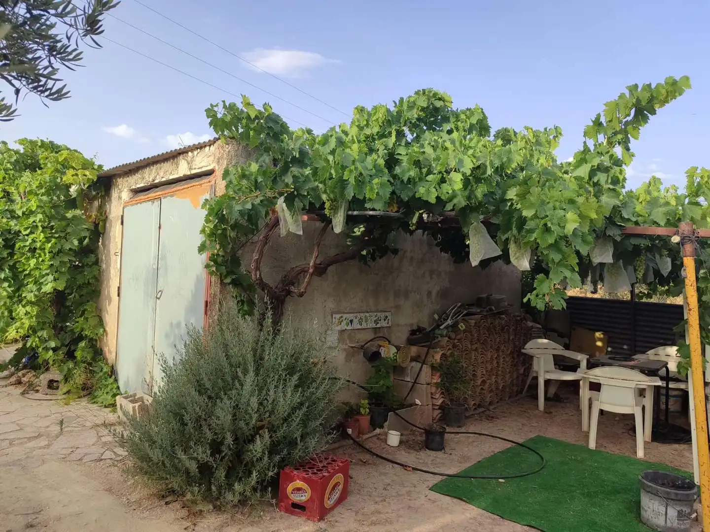 Lands and plots for sale in Bullas, imagen 2