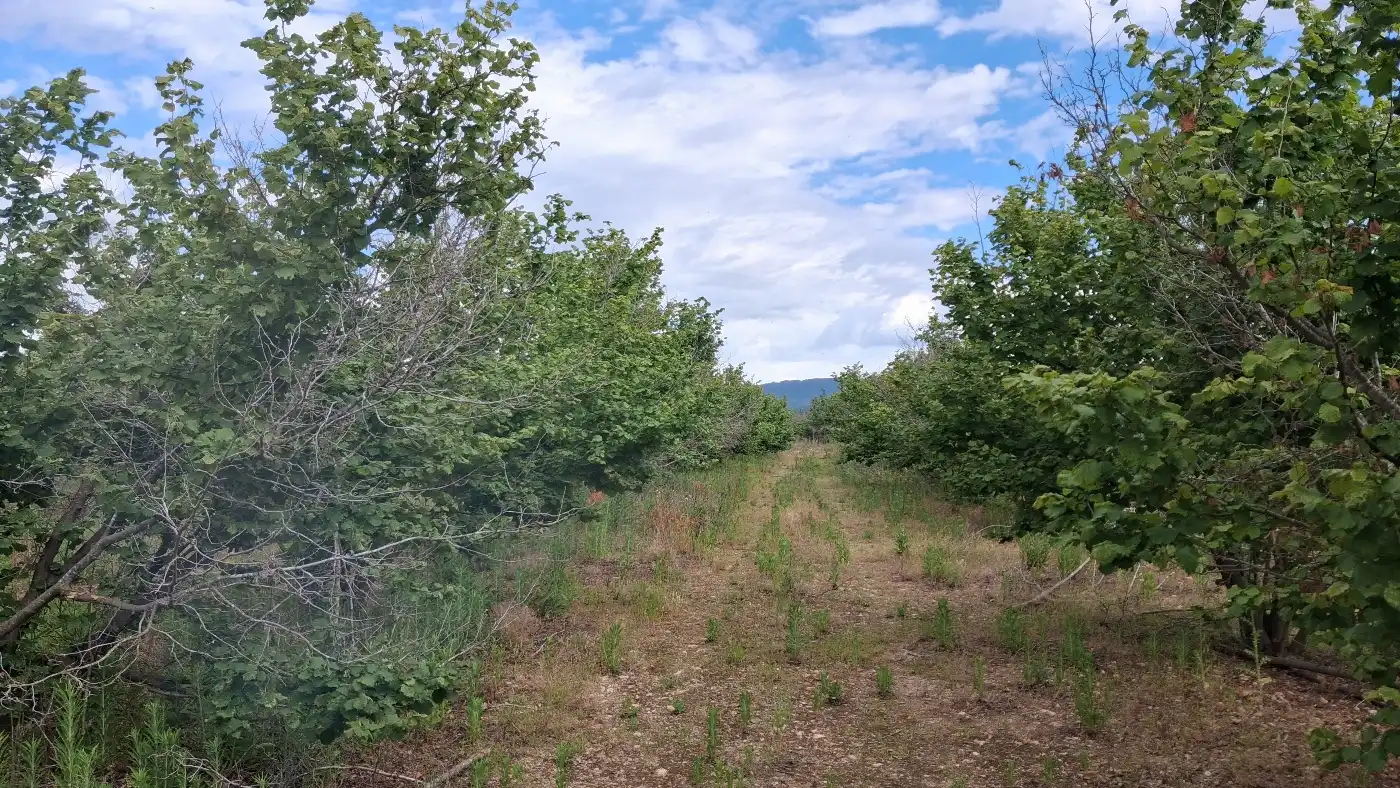 Terreno en venta en El Milà