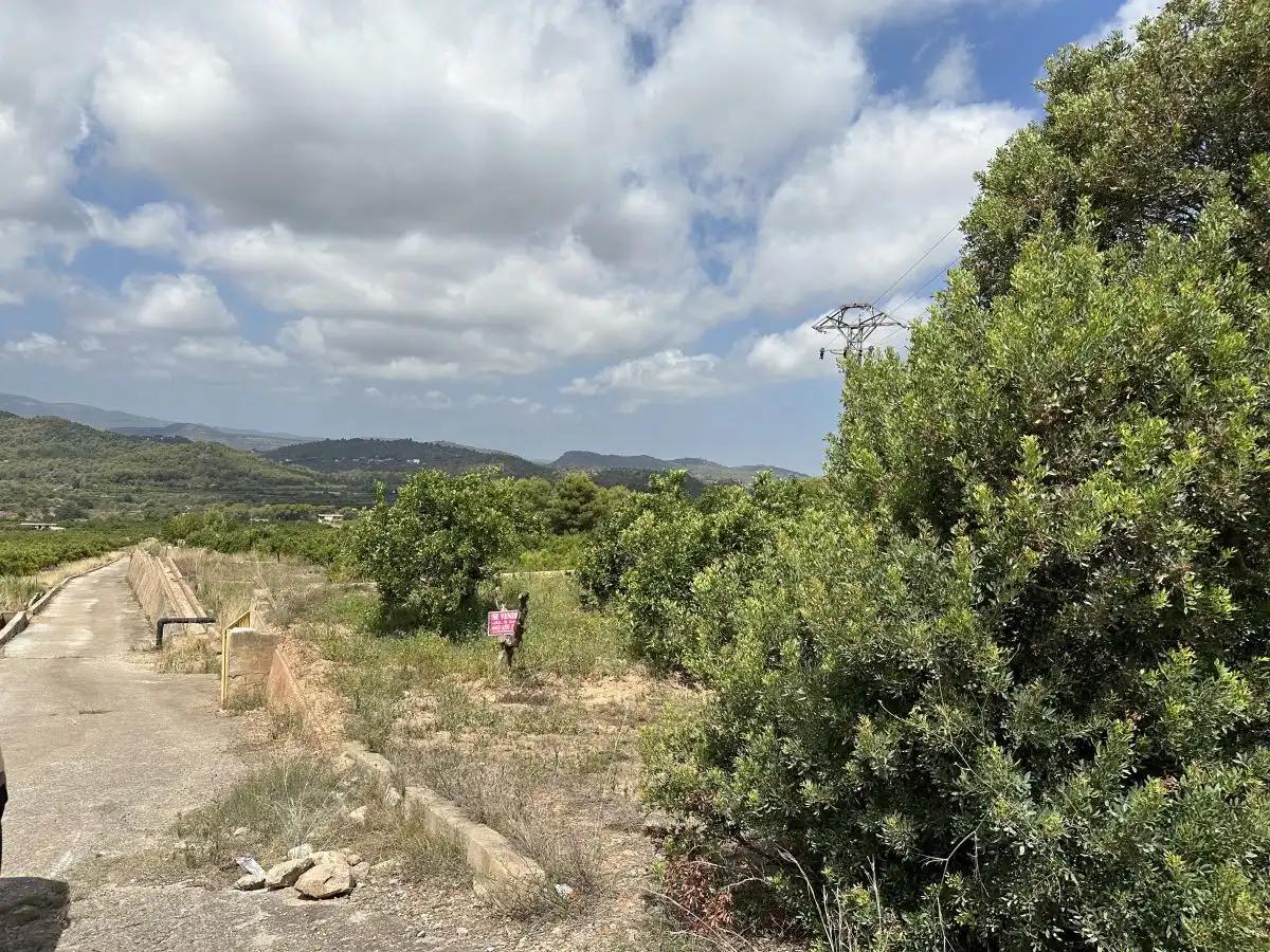 Rural land for sale in Sagunto ciudad, imagen 16