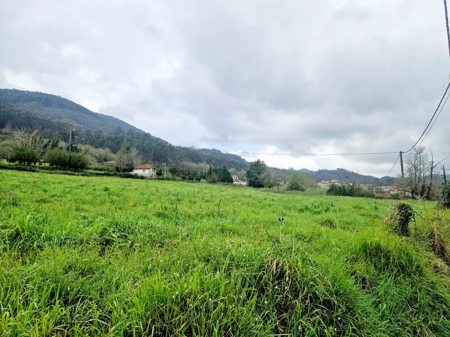 Terreno residenziale in vendita a Pravia, imagen 7