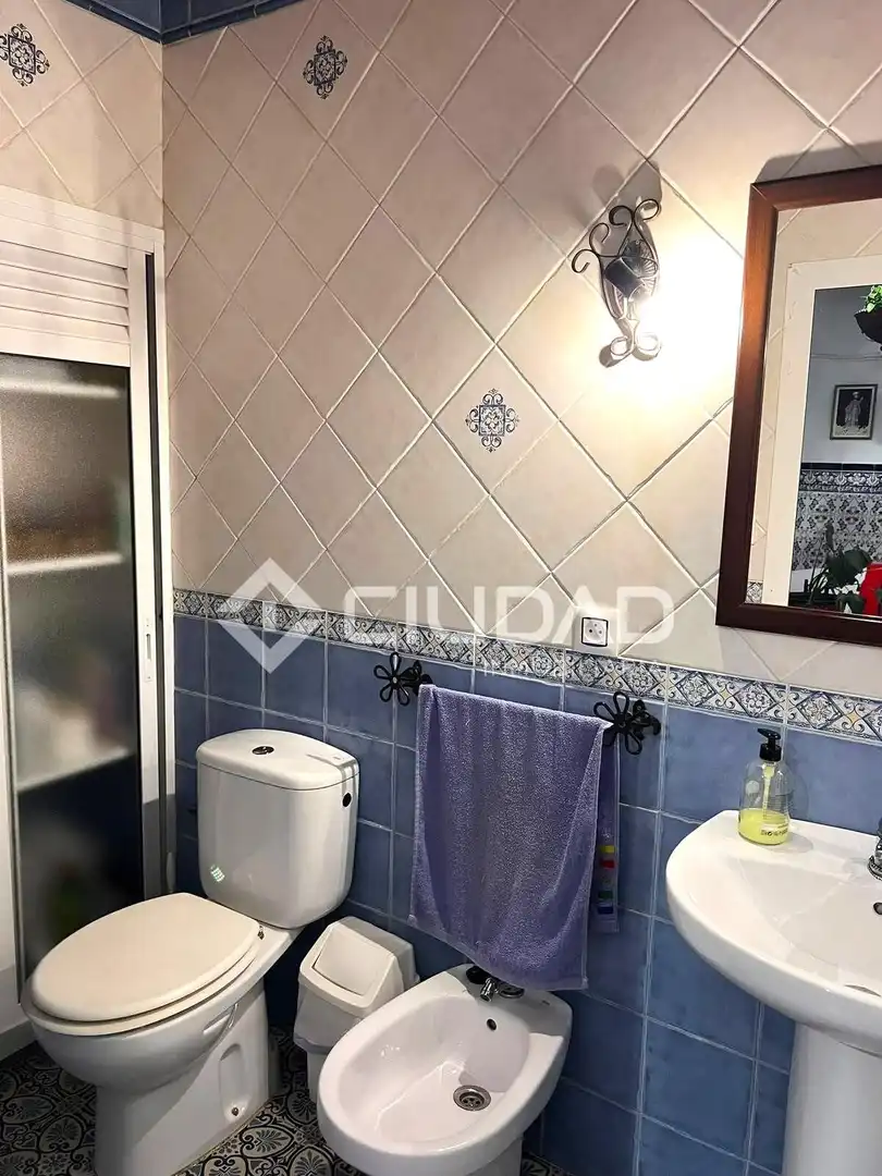 Baño de Casa o chalet en venta en Ayuntamiento - Barrio Alto