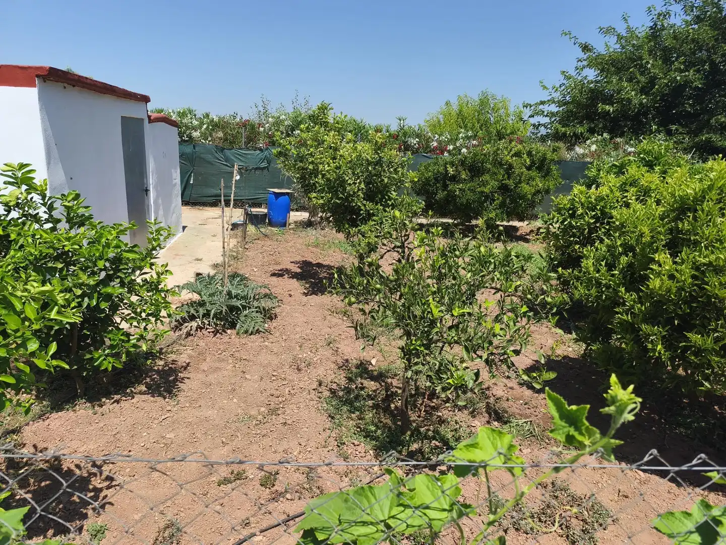 Finca rústica en venta en Foios con Aire acondicionado, Calefacción y Jardín privado