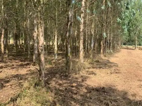 Terreno en venta en Outeiro de Rei