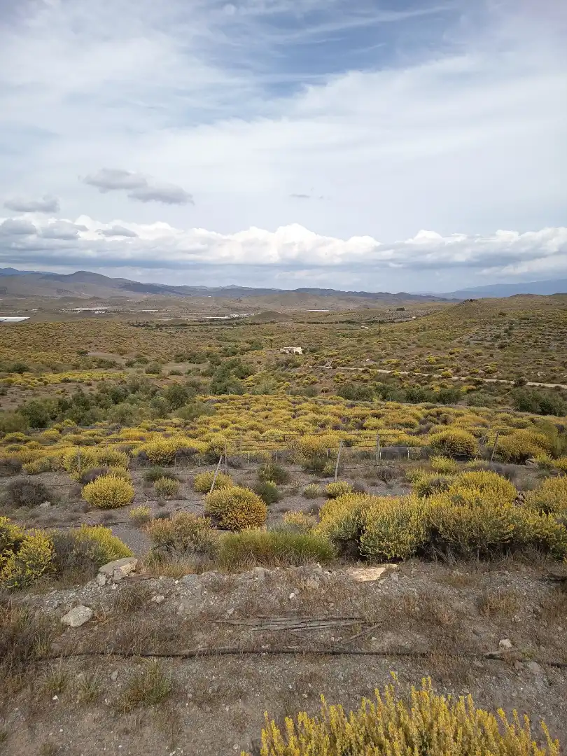 Terreno rustico in vendita a Alboloduy, imagen 21