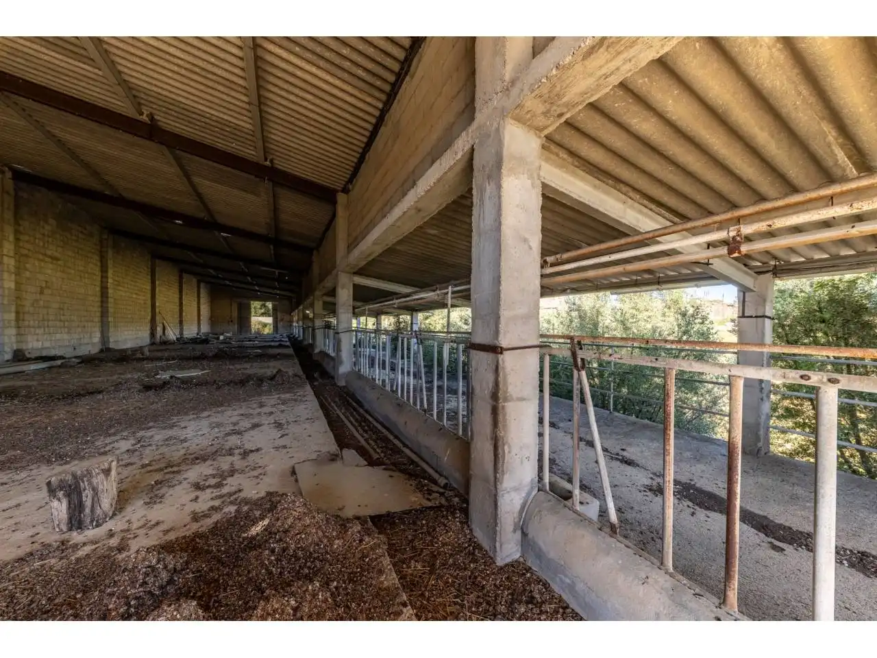 Terreno rustico in vendita a Llucmajor pueblo, imagen 60