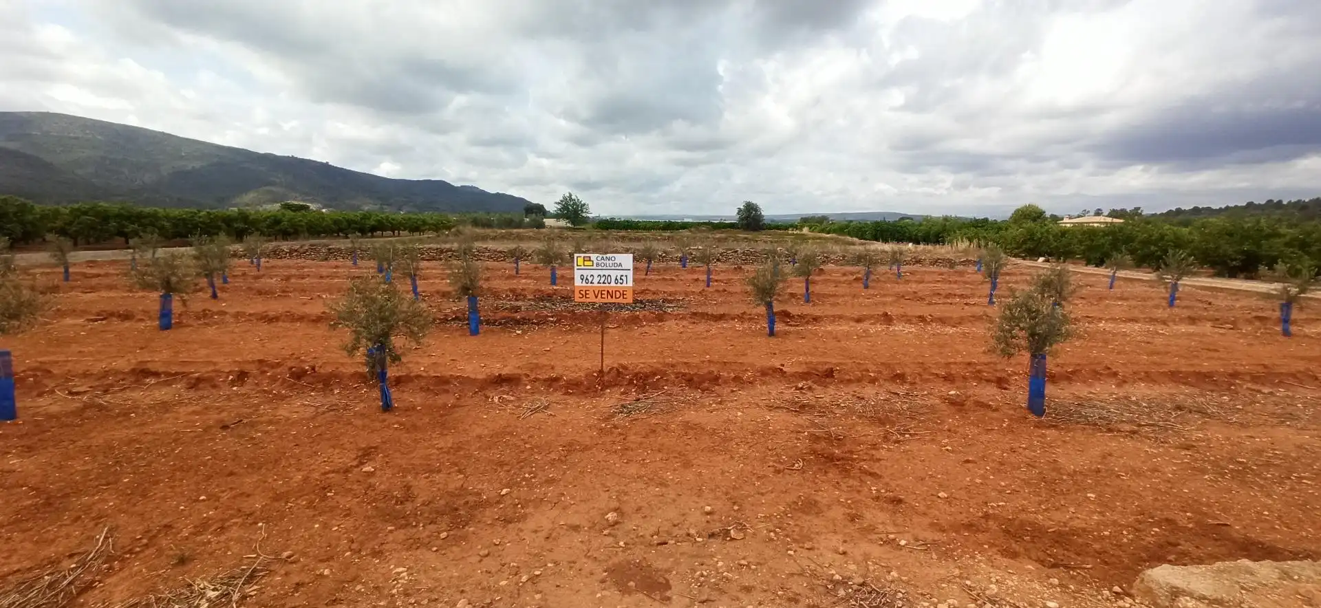 Terreno en venta en Anna