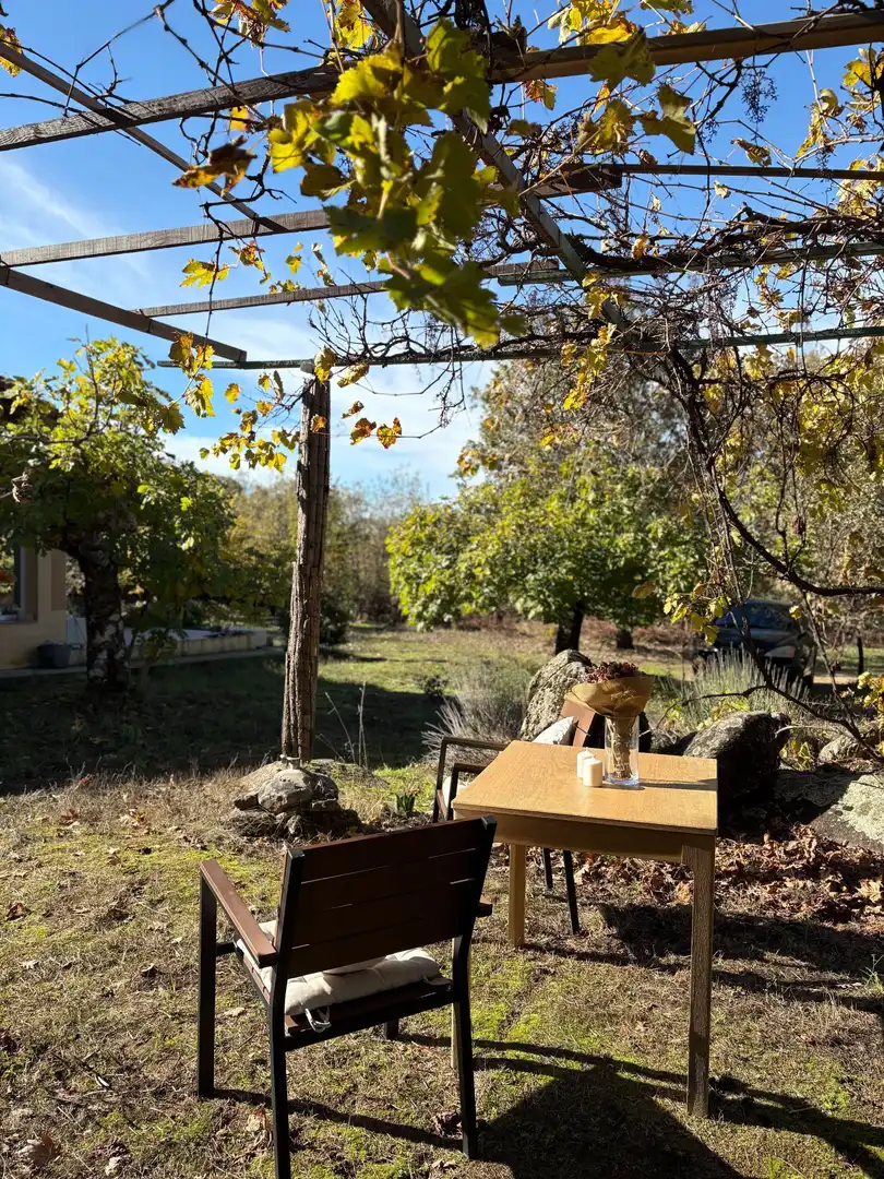 Jardín de Casa o chalet en venta en Villanueva de la Vera con Aire acondicionado y Jardín privado