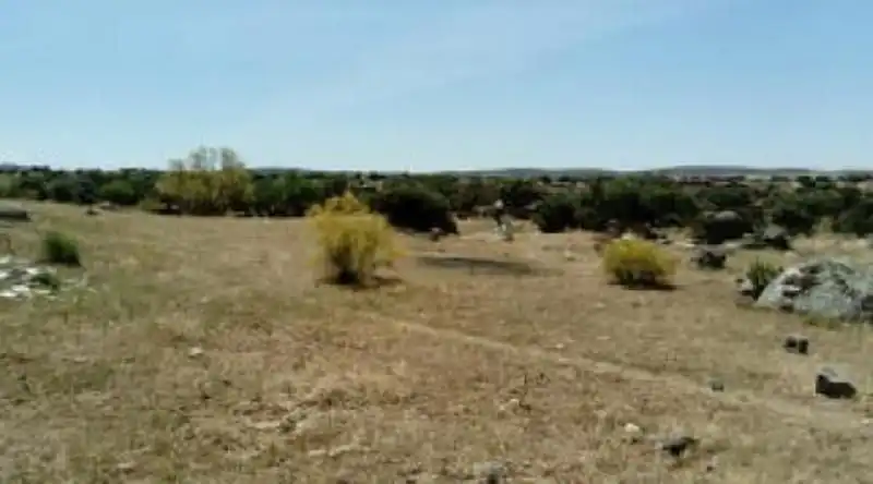 Grundstücke zum Verkauf in Esparragosa de la Serena
