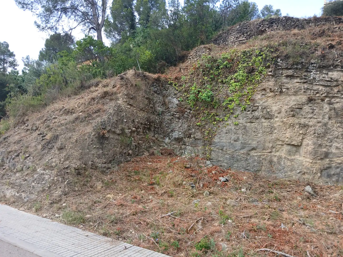 Terreny residencial en venda a Carrer Xoriguer 9, imagen 2