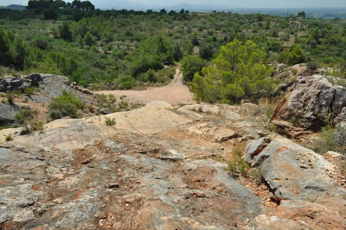 Land for sale in Camí del Barranc de la Llet, 26, Sant Llàtzer