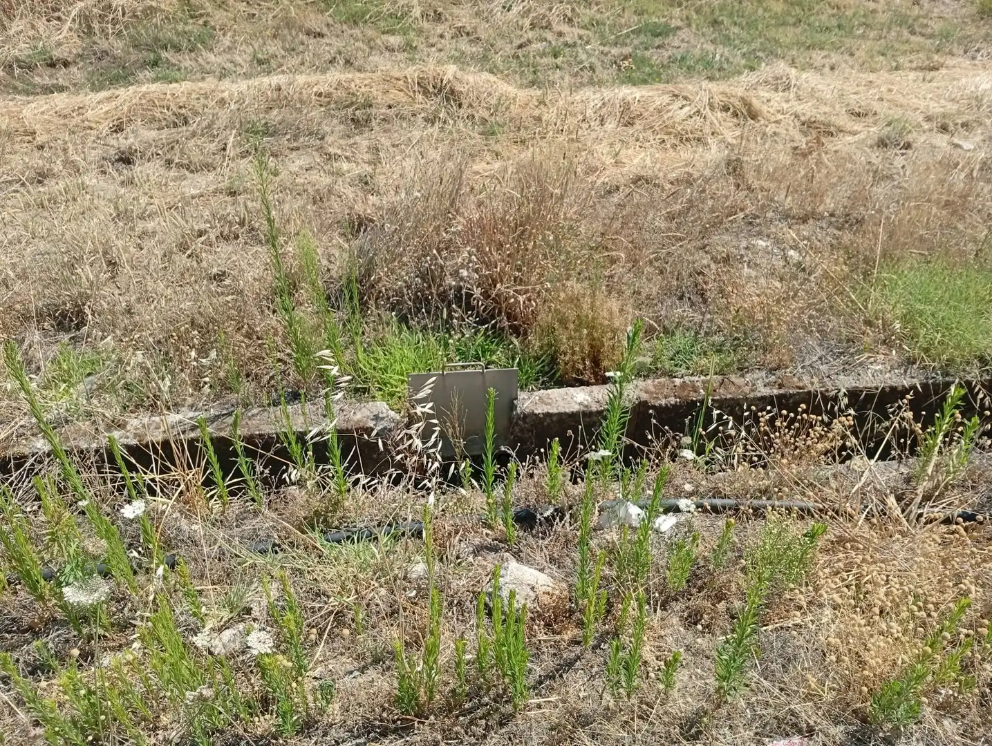 Terreni e lotti in vendita a Villanueva de la Vera, imagen 41