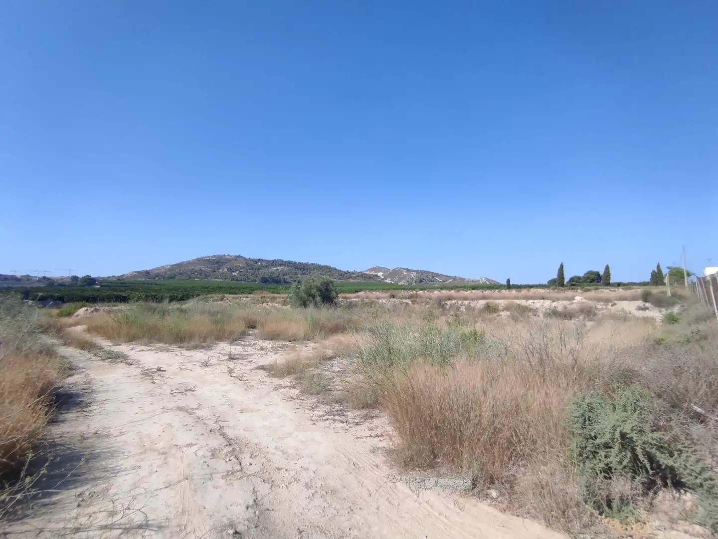 Terreno rústico en venta en Algorfa, imagen 2