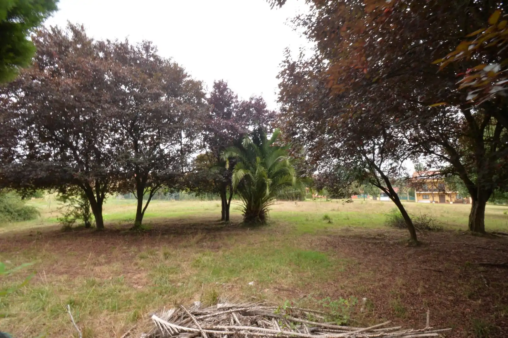 Casa o xalet en venda a Lugar Lugar Guyame, Llanera