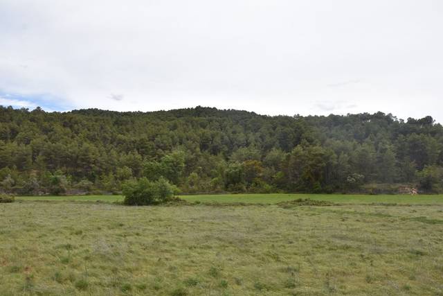 Terreno en Venta en Arens de Lledó