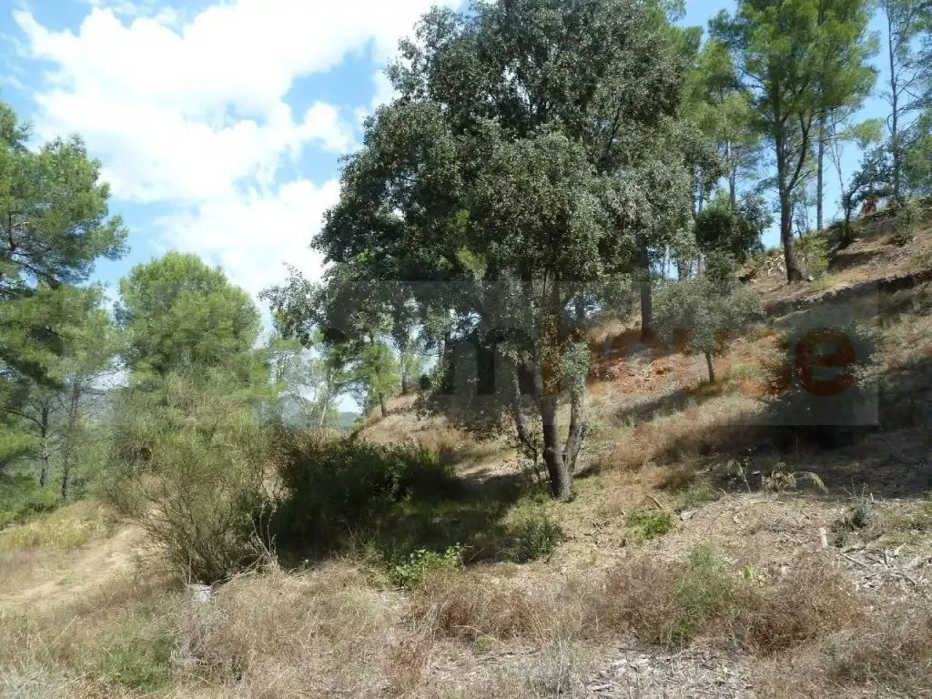 Terreno residenziale in vendita a Calle de la Vallesa, imagen 4
