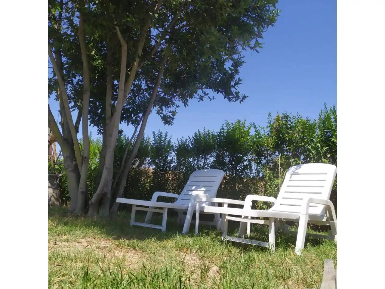 Jardín de Terreno en venta en Alcanadre