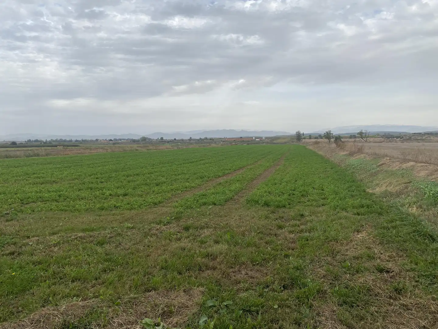 Terreny rústic en venda a Bellcaire d'Urgell