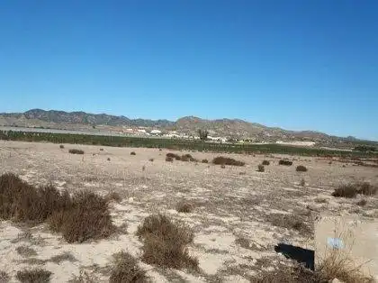 Rustikales Grundstück zum Verkauf in Pedanías Oeste, imagen 2