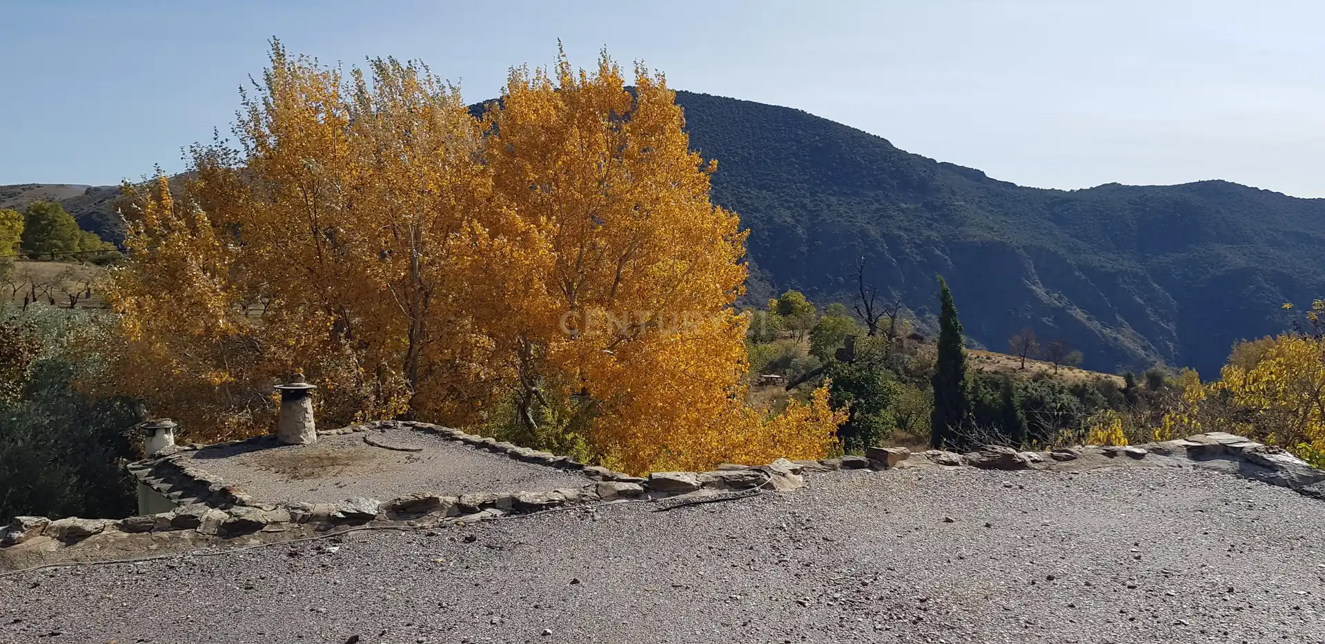 Vista exterior de Casa o chalet en venta en La Taha con Jardín privado, Trastero y Piscina