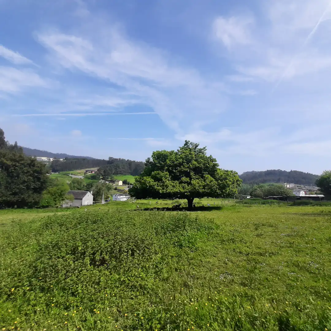 Außenansicht von Einfamilien-Reihenhaus zum Verkauf in Viveiro