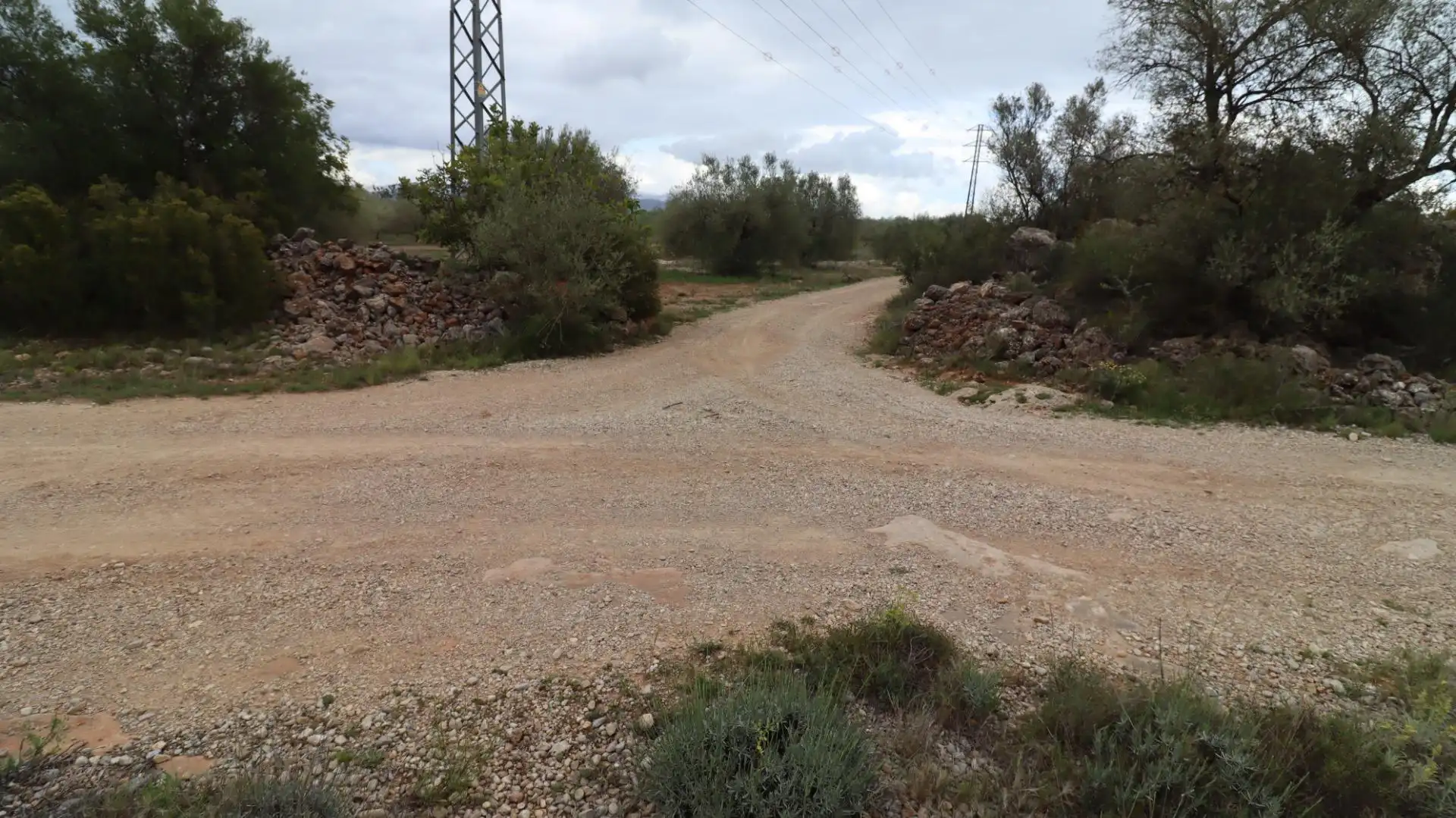 Terreny rústic en venda a Ulldecona, imagen 3