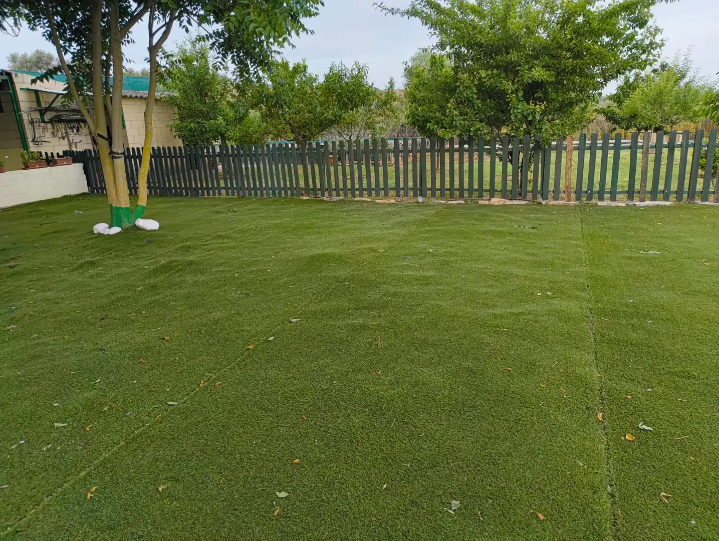 Terreno rustico in vendita a Calahorra, imagen 14