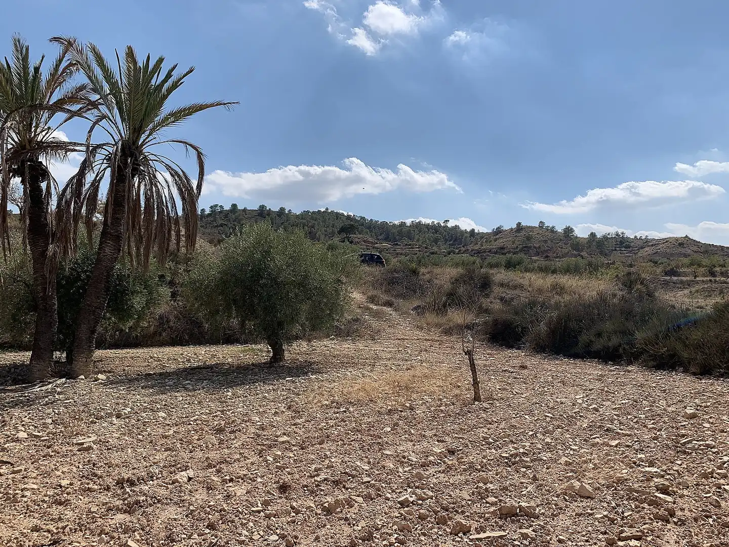 Country homes for sale in Abanilla