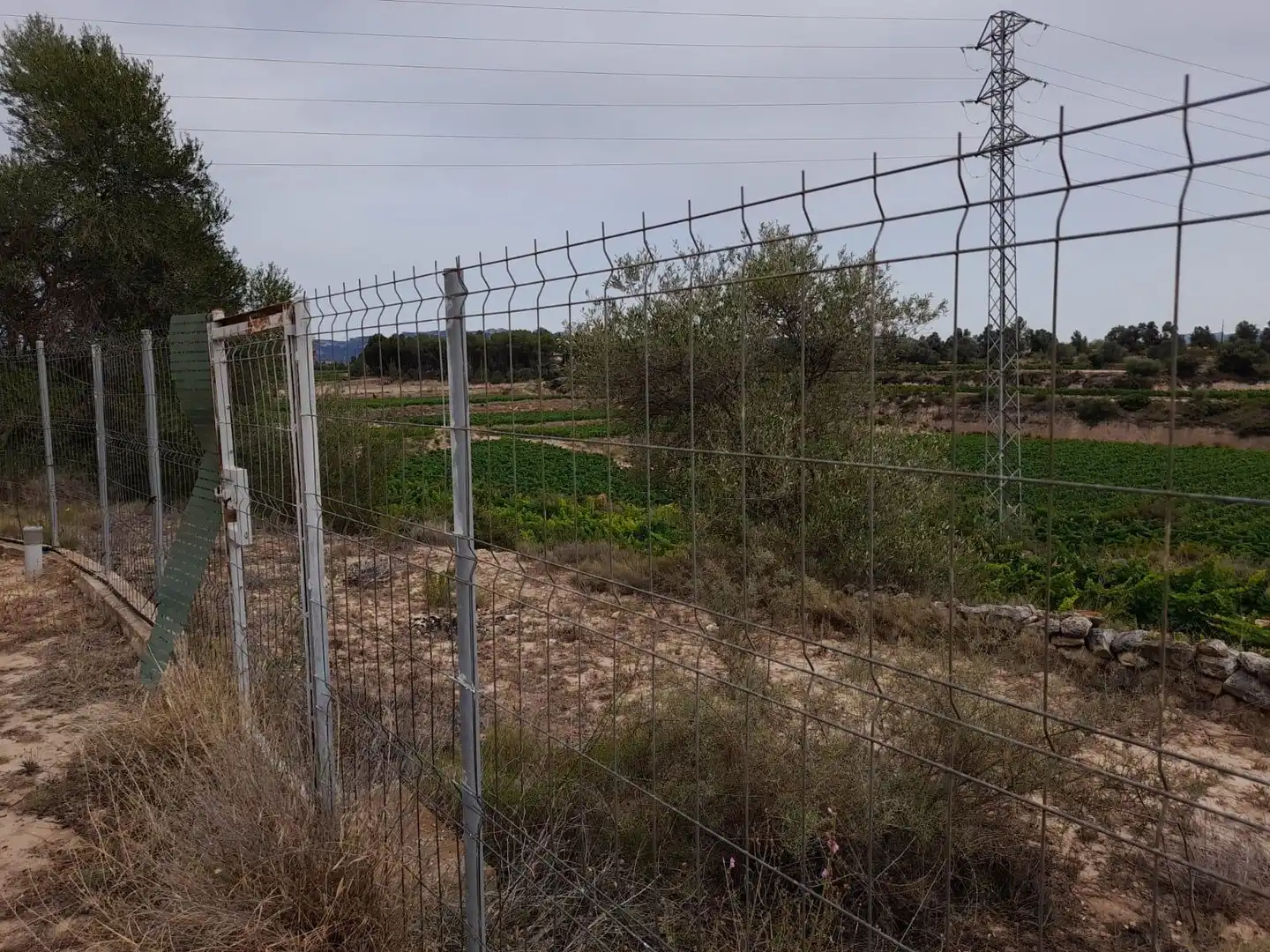 Country homes for sale in Garcia