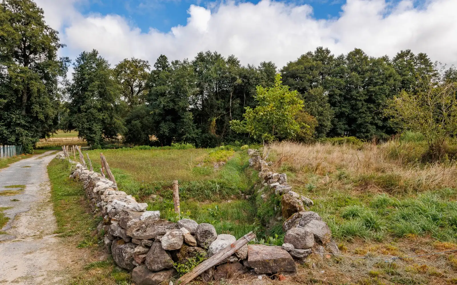 Finca rústica en venda en Chantada amb Aire condicionat, Calefacció i Jardí privat