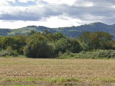 Terrenos y solares en venta en Los pulpinos
