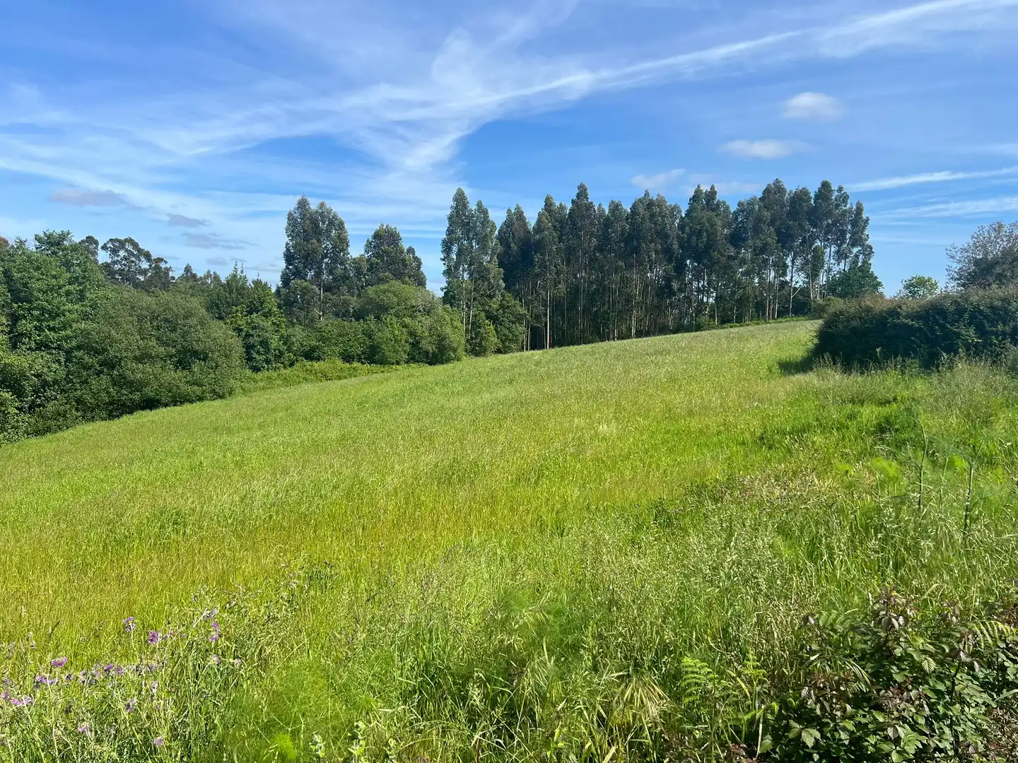 Terreno residenziale in vendita a Miño, imagen 3