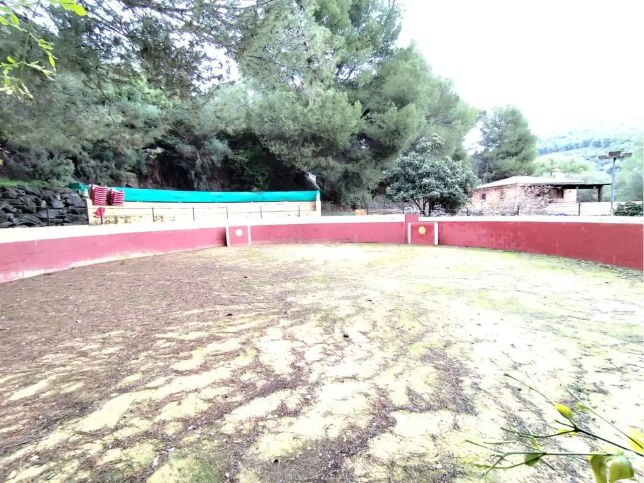 Swimming pool of Country homes for sale in Monda  with Air Conditioner, Heating and Private garden