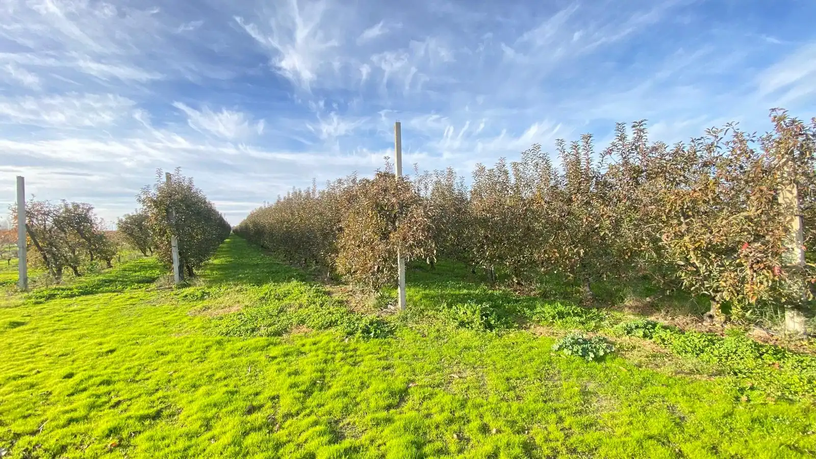Terreni e lotti in vendita a Alagón del Río, imagen 23
