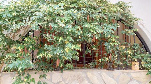 Photo 3 of House or chalet to rent in Avenida Rembrandt, Zona Carrefour - Urbanizaciones, Alicante